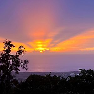 Mango Sunset Bed And Breakfast Kailua-Kona Exterior photo