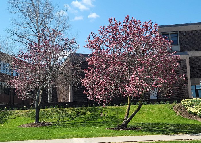 University of Hartford photo