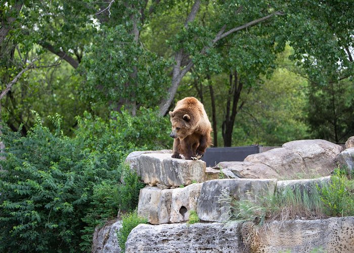 Sedgwick County Zoo photo