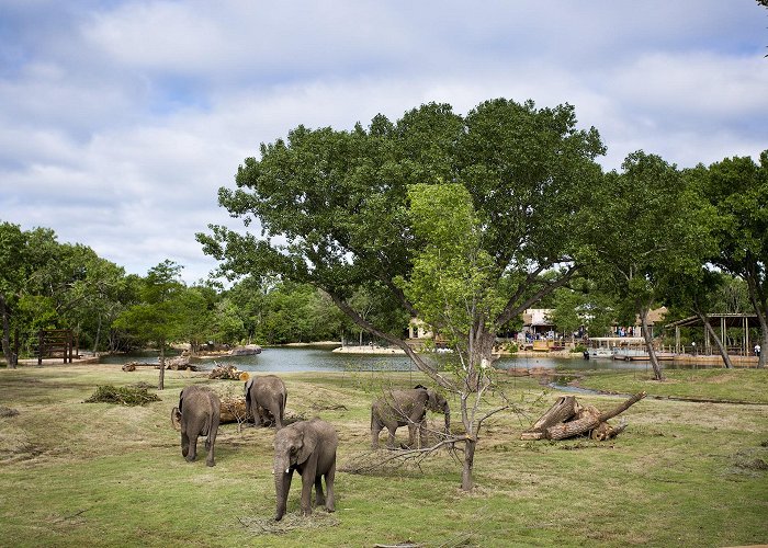 Sedgwick County Zoo photo