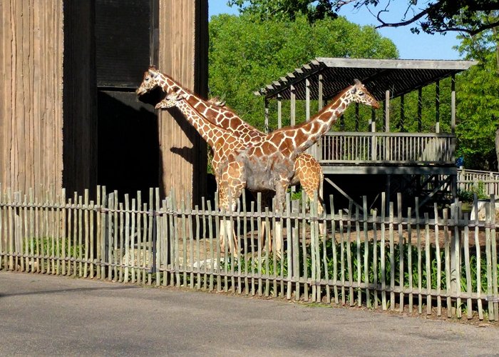 Sedgwick County Zoo photo