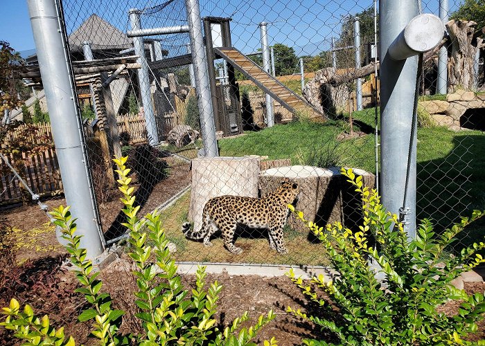 Sedgwick County Zoo photo