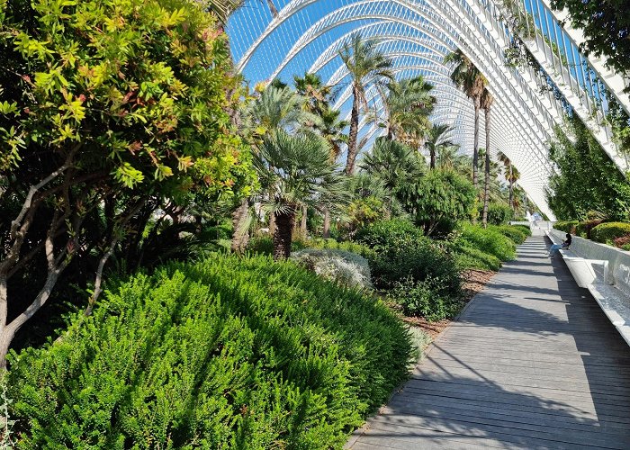 City of Arts and Sciences photo