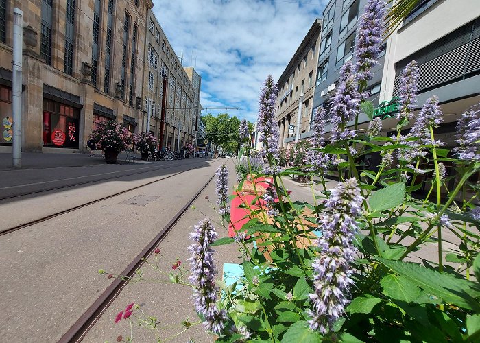 Kaiserstraße photo