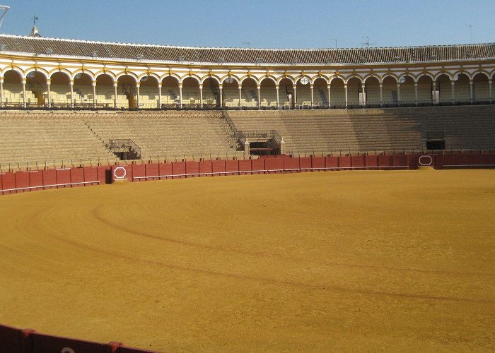 Museo Taurino de la Real Maestranza de Caballeria Off the Beaten Path in Madrid: Why Getting Lost Works. photo