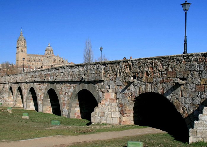 Roman bridge Salamanca Roman Bridge - Salamanca: Information, rates, prices, tickets, how ... photo