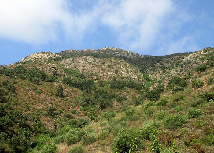 Sant Pere de Rodes Monastery Serra de Rodes – Running High photo