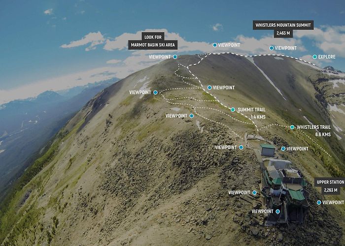 Jasper Tramway Trail-Map | High Altitude Adventures | Jasper Skytram photo