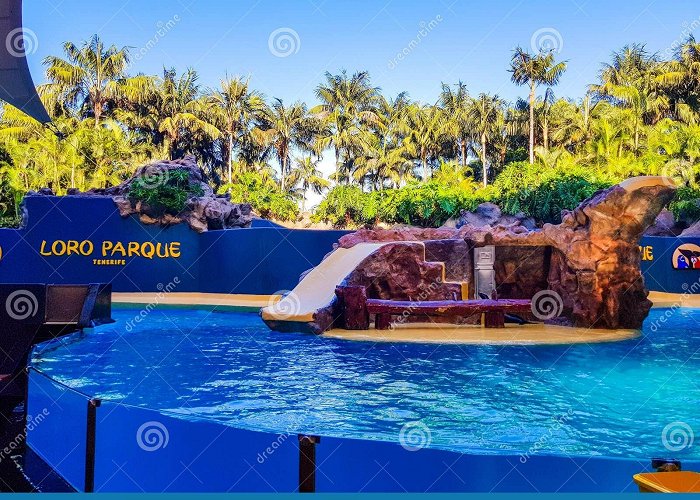 Loro Park (Loro Parque) Puerto De La Cruz, Tenerife, Spain; December 2, 2018: Image Taken ... photo