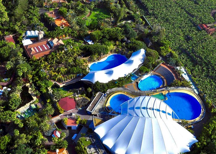 Loro Park (Loro Parque) Loro Parque + Siam Park Tickets with Transport photo