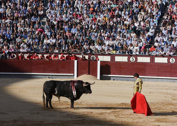 Plaza de Toros de Las Ventas Plaza de Toros de Las Ventas - Stadium Review | Condé Nast Traveler photo