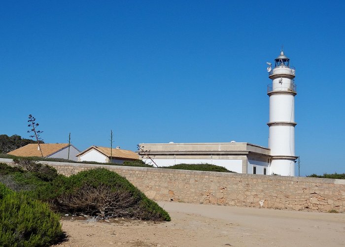 Cabo Salinas Cap de Ses Salines Tours - Book Now | Expedia photo