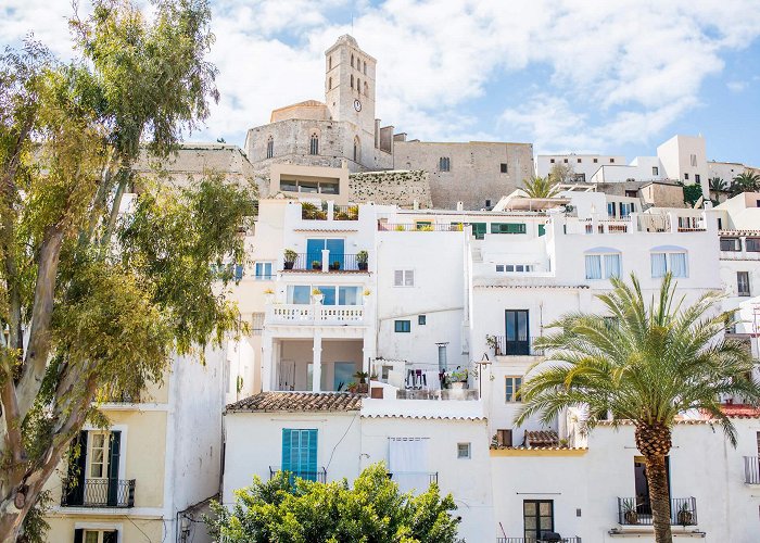 Port of Ibiza Ibiza town – White Ibiza photo