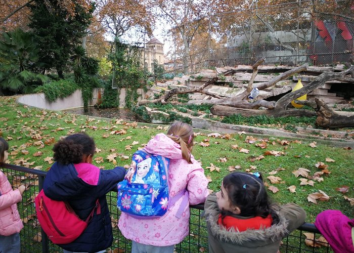 Barcelona Zoo Collserola school visits the tiger! | Zoo Barcelona photo