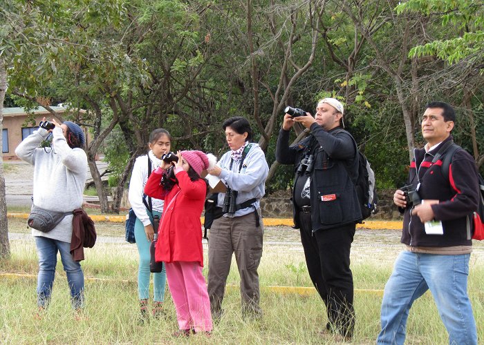 Zoomat Zoo Discovering details of local birds in Tuxtla Gutiérrez, México ... photo