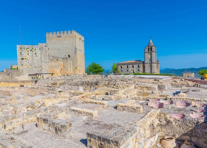 Museo Santa Iglesia Catedral Catedral de la Asunción | Andalucía, Spain | Attractions - Lonely ... photo