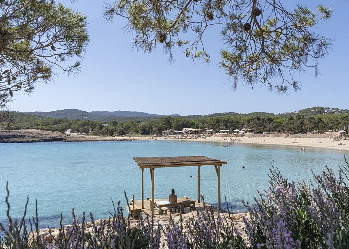 Cala Bassa Beach Walk from Port des Torrent to Cala Bassa - Santjosep.net photo