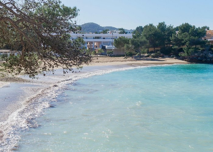 Cala Bassa Beach Ibiza beach guide – White Ibiza photo