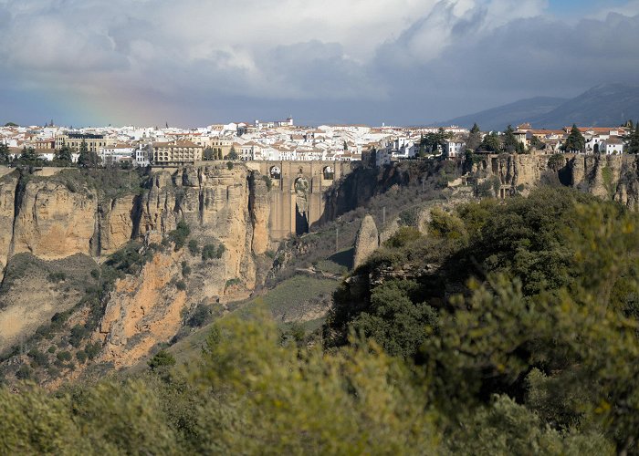 Museo del Vino de Ronda Visit Ronda in Andalusia: all the things you shouldn't miss (+ map) photo