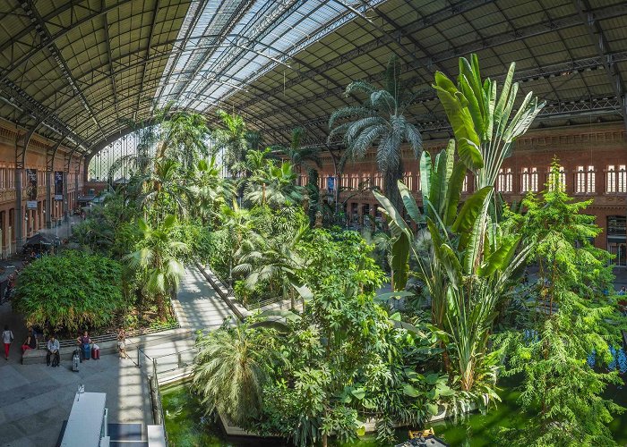 Atocha Train Station Madrid Atocha: the train station with its own botanical garden ... photo