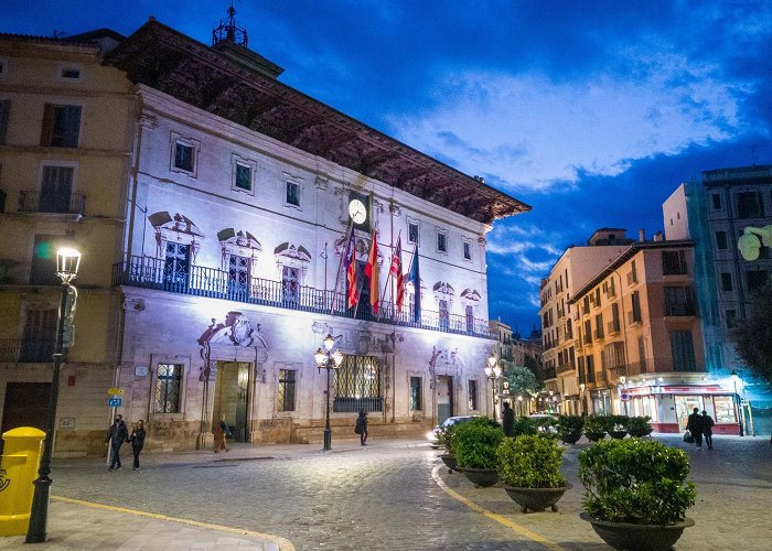 Palma Town Hall Palma de Mallorca by Night Bike Tour (Spain) - BikeTours.com photo