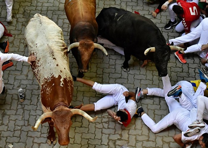 Spanish Red Cross Spain's running of the bulls: 3 people gored at San Fermín ... photo