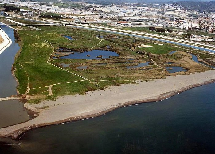 Guadalhorce Beach Guadalhorce Beach - Málaga photo