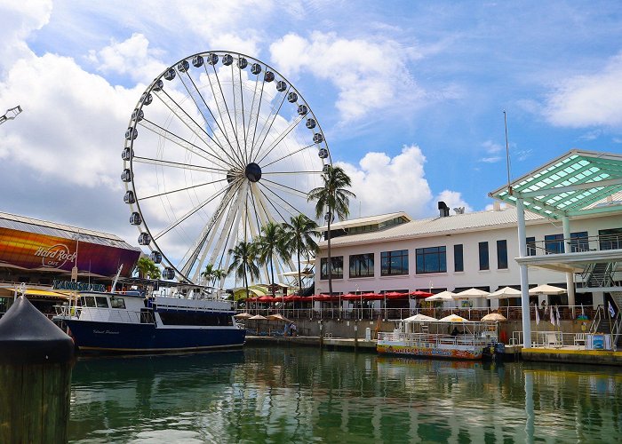 Bayside Marketplace Round-trip (Bayside Marketplace) | Water Taxi Miami photo