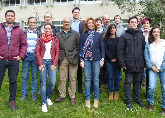 University of the Basque Country Mathematical Analysis and Applications (UPV/EHU) photo