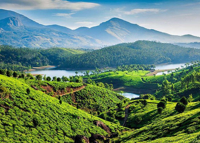 Munnar photo