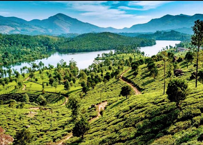 Munnar photo