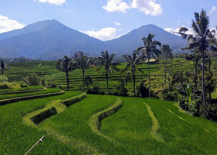 Tabanan (Bali) photo