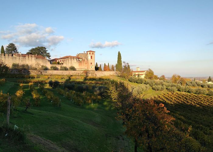 Susegana photo