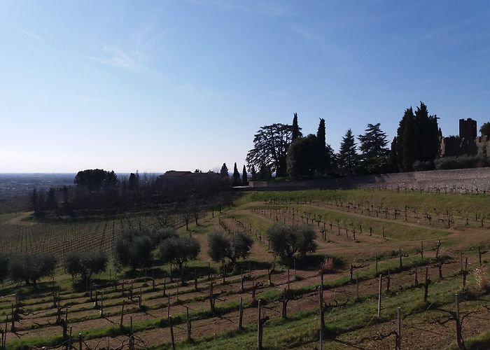 Susegana photo