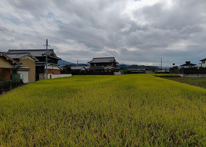 Nara photo