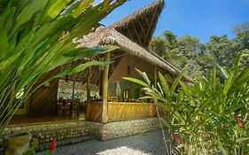 Esquinas Rainforest Lodge Golfito Exterior photo