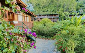 Turkmen Tree Houses Olympos Exterior photo