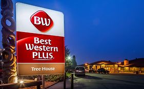 Best Western Plus Tree House Hotell Mount Shasta Exterior photo