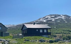 Bjørgo Gard - Stegastein Leilighet Aurland Exterior photo