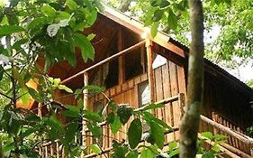 Bayrams Tree Houses Olympos Exterior photo