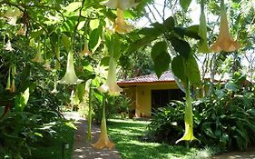 Tacacori Ecolodge Alajuela Exterior photo