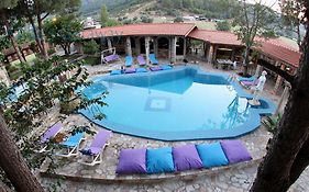 Atillas Getaway Hotell Selcuk Exterior photo