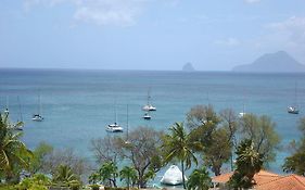 Palm'Studio Anse De Caritan Leilighet Sainte-Anne Exterior photo