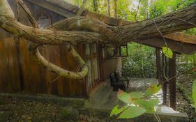 Forest Floor Lodge Cát Tiên Exterior photo