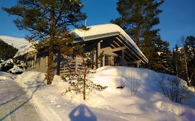 Jølsterlia Hyttetun Villa Årdal Exterior photo