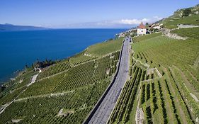 Domaine Du Burignon Hotell Saint-Saphorin Exterior photo