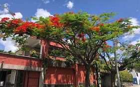 Hotel Arbol De Fuego San Salvador Exterior photo