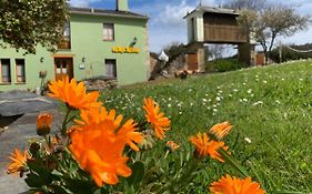 Os Tres Teixos Guest House San Acisclo Exterior photo