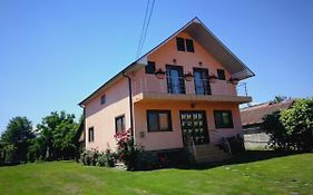 Pensiunea Balea Sat Villa Cîrţişoara Exterior photo