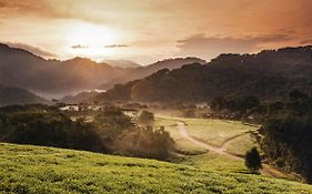 One&Only Nyungwe House Hotell Gisakura Exterior photo